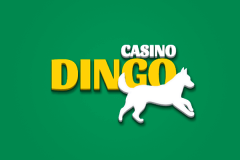 Casino Dingo Review